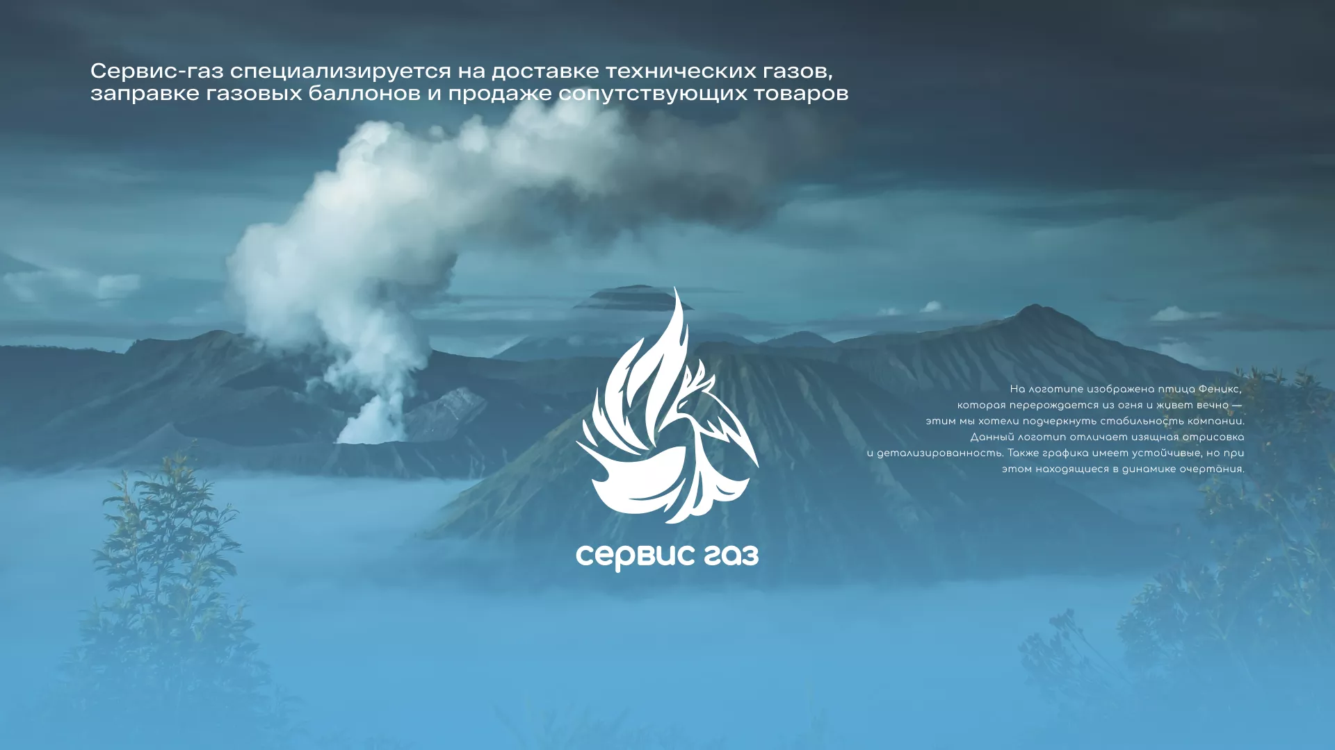 Создание сайта компании «Сервис газ» в Бронницах