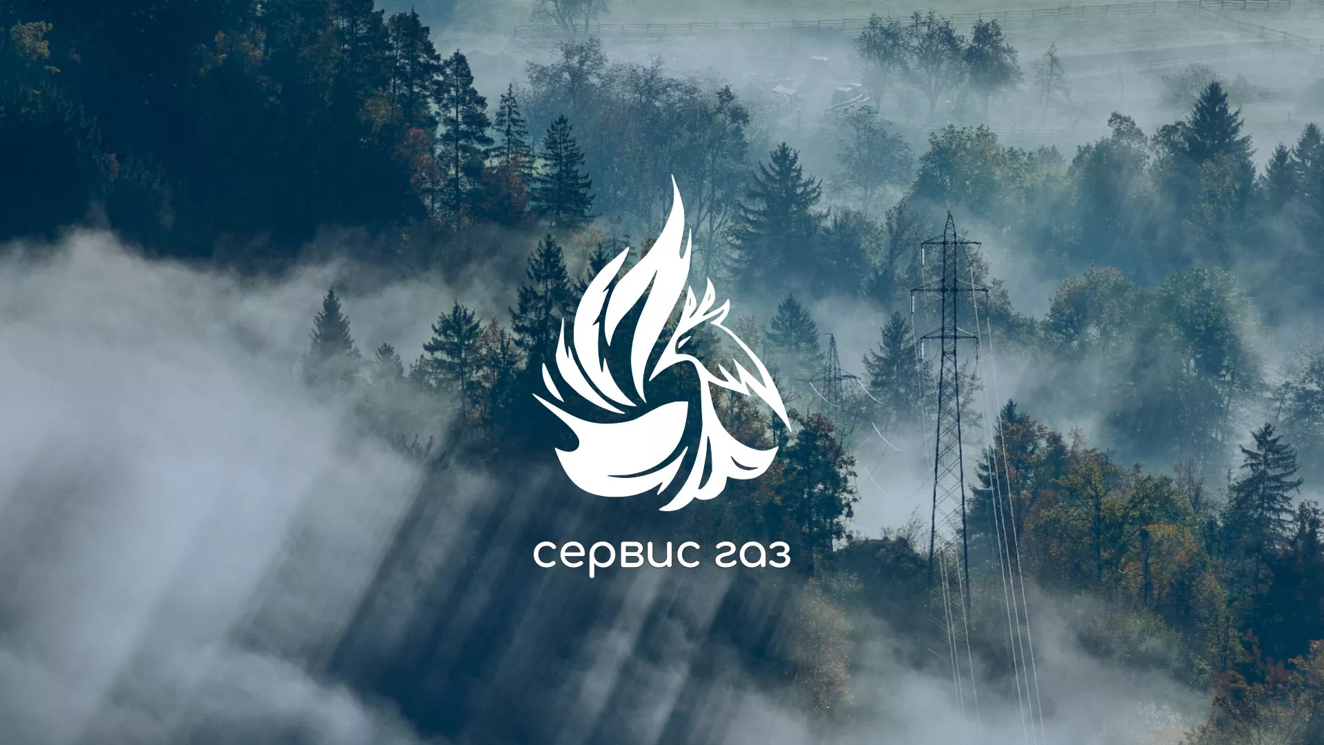 Создание сайта компании «Сервис газ» в Бронницах