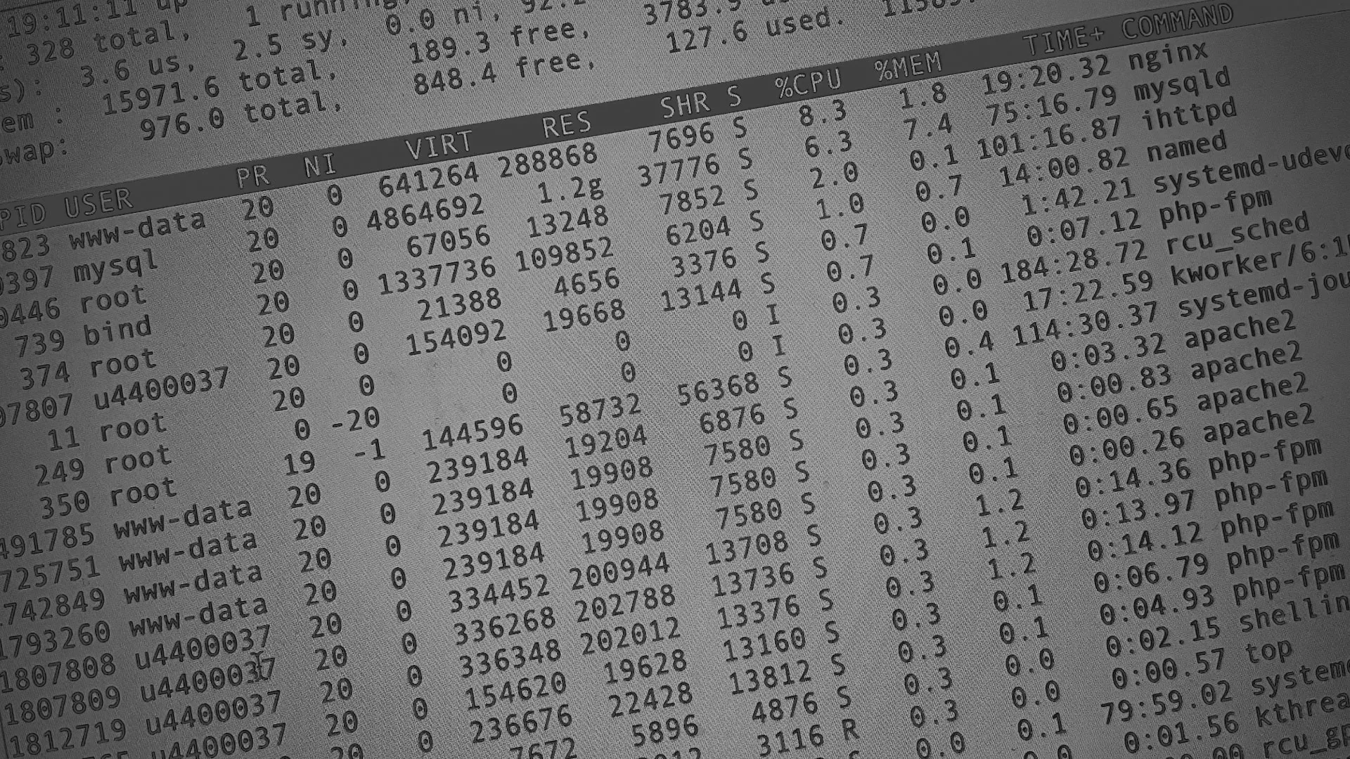 Настройка сервера в Бронницах