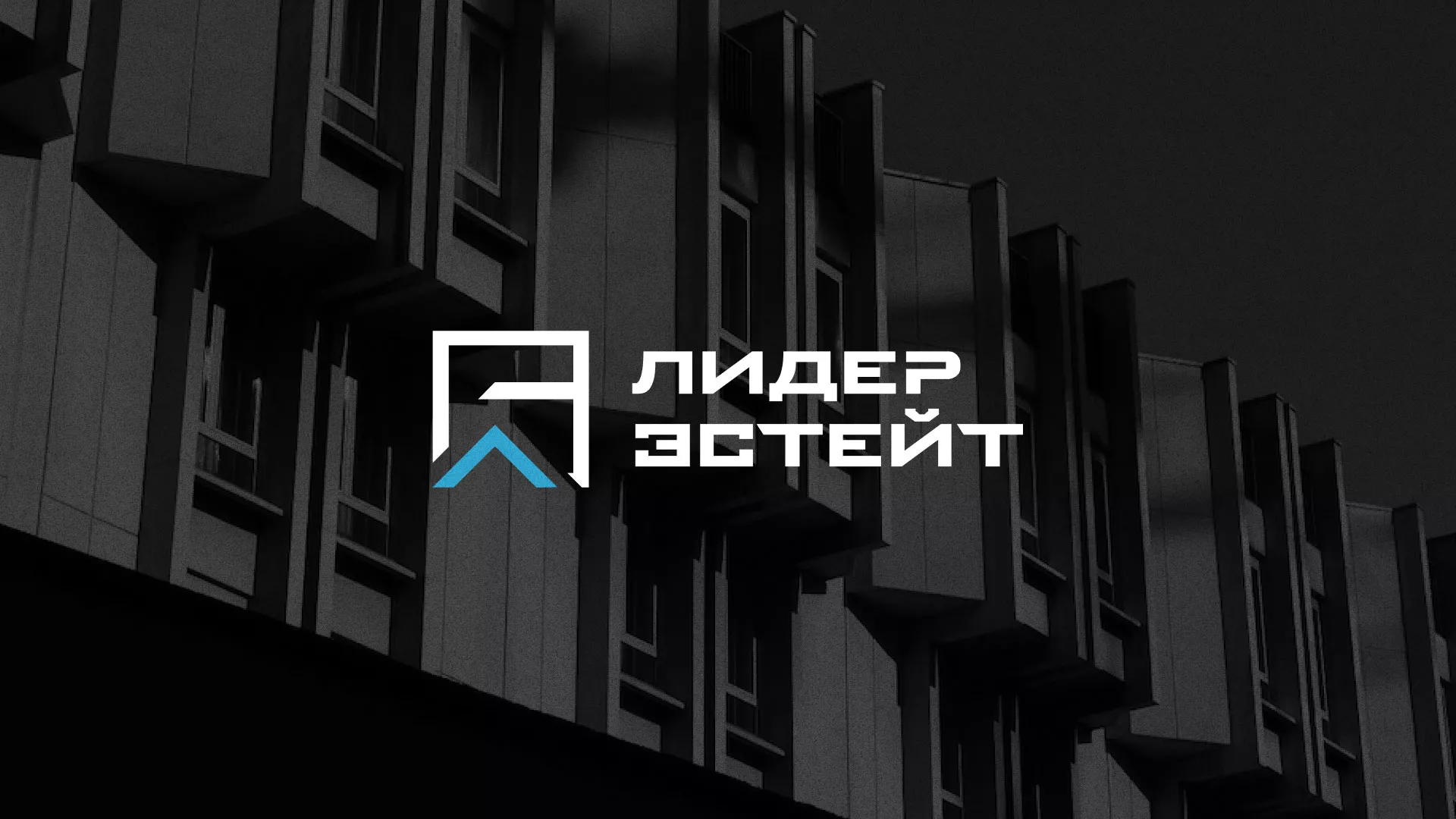 Разработка логотипа агентства недвижимости «Лидер Эстейт» в Бронницах